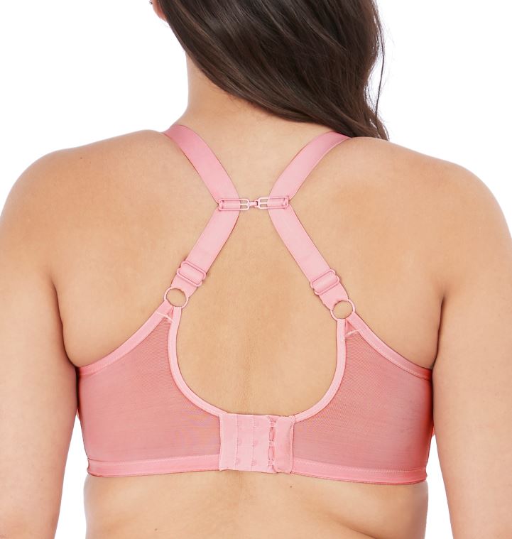 BH mit Bügel, Matilda Rose von ELOMI Lingerie, EL8900, Ausschnitt, Rückansicht