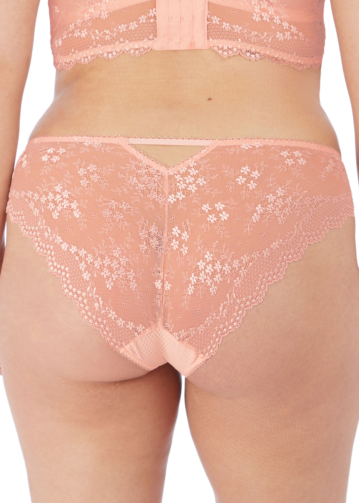 Brazilian Charley in  Ballet Pink von ELOMI Lingerie EL4385 Rückansicht