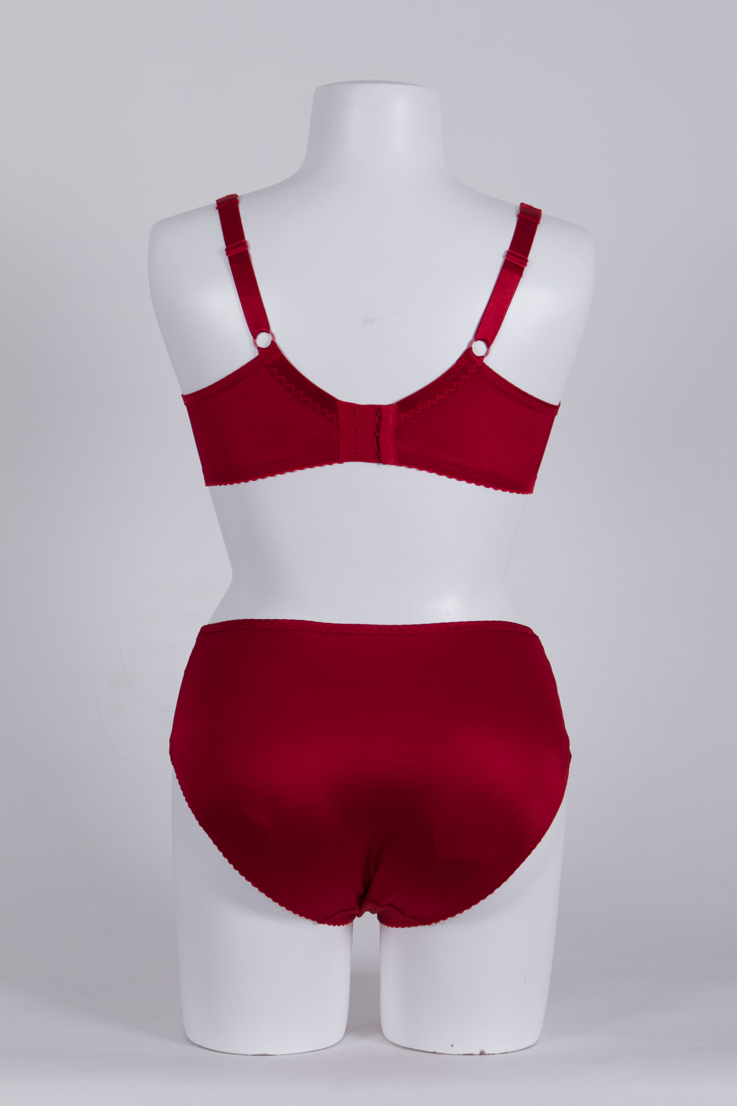 Taillenslip "Kali Red" von SYL Design - Einzelstücke, Kombination, Rückansicht