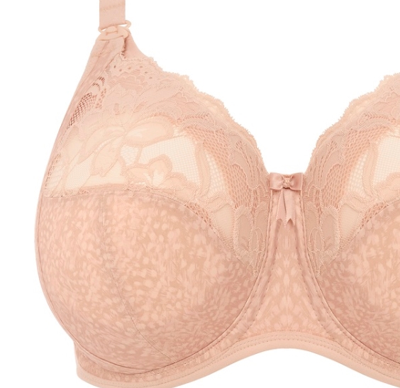 Still BH mit Bügel Molly in Cameo Rose von ELOMI Lingerie EL4542 Cut Out Detail