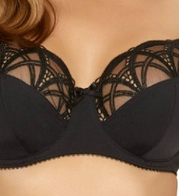 BH mit Bügel, Alex Schwarz, von FANTASIE Lingerie, Ausschnitt, Vorderansicht